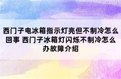 西门子电冰箱指示灯亮但不制冷怎么回事 西门子冰箱灯闪烁不制冷怎么办故障介绍